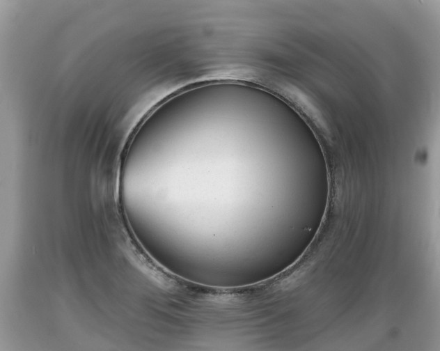 X0000089341276200706221110