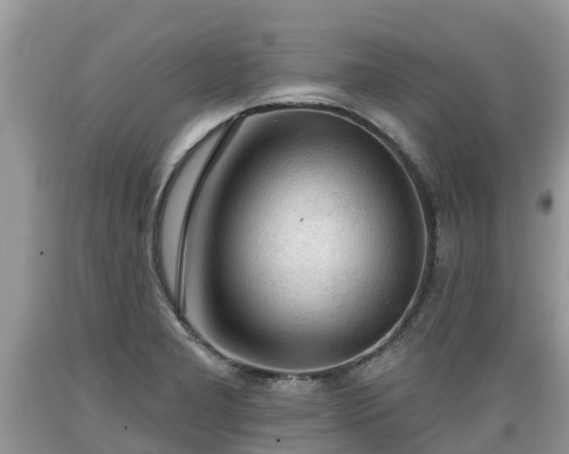 X0000089341277200706221110