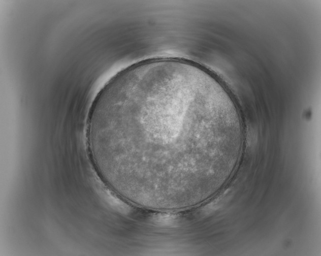X0000089341278200706221110