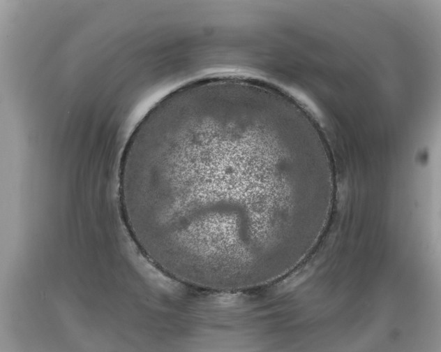 X0000089341279200706221110