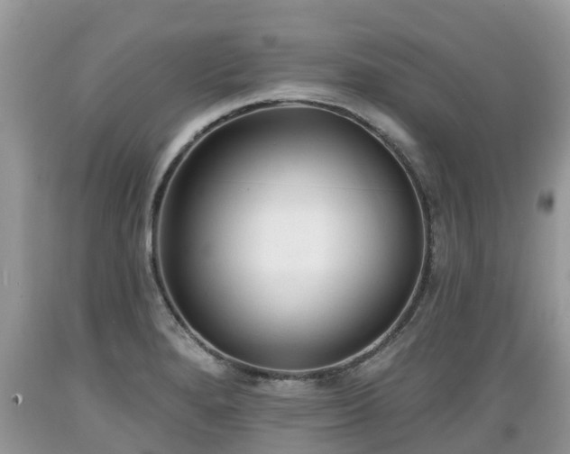 X0000089341280200706221110