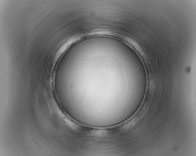 X0000089341282200706221110