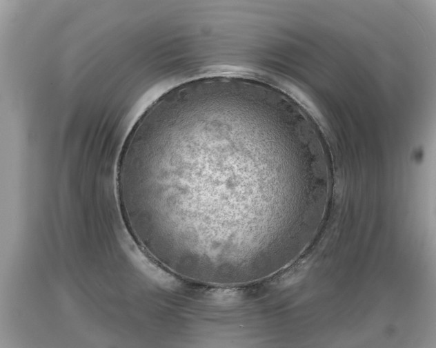 X0000089341283200706221110
