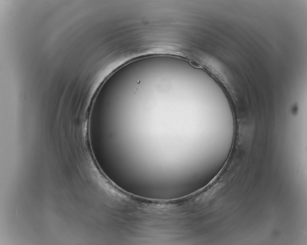 X0000089341284200706221110