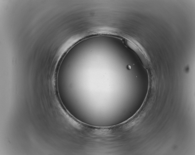 X0000089341285200706221109