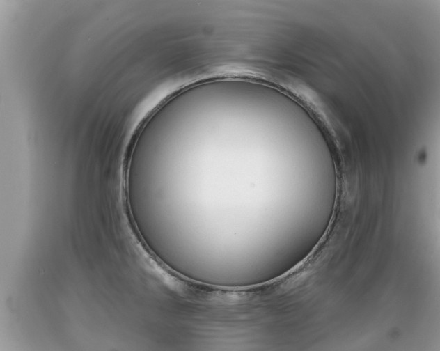 X0000089341286200706221109