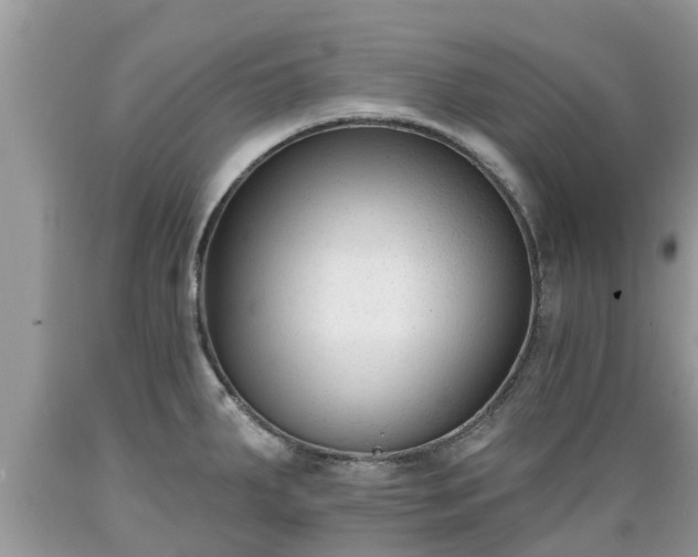 X0000089341287200706221109
