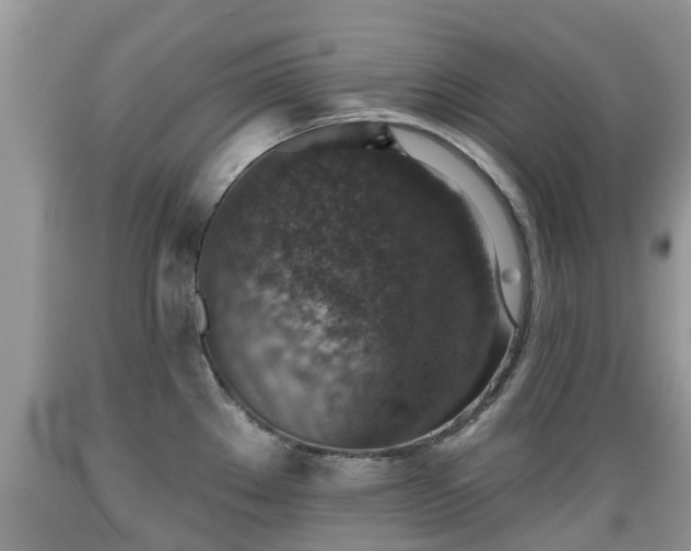 X0000089341289200706221109