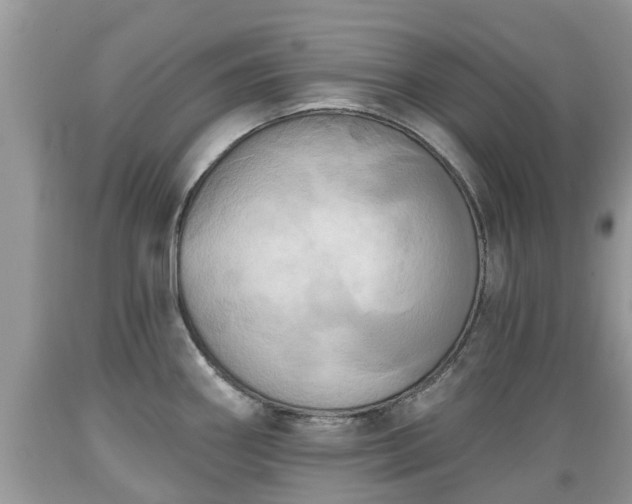 X0000089341290200706221109