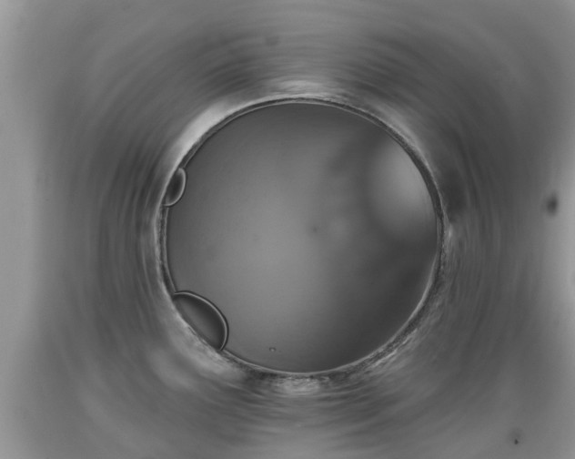 X0000089341291200706221109