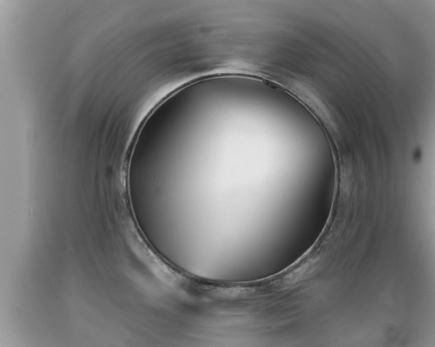 X0000089341292200706221109