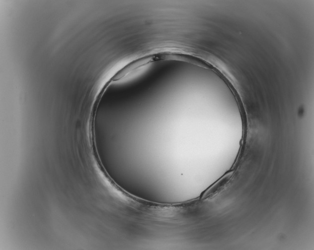 X0000089341293200706221109