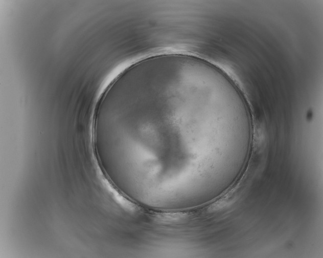 X0000089341294200706221109