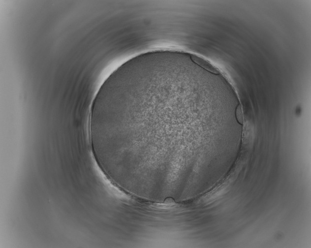 X0000089341295200706221109