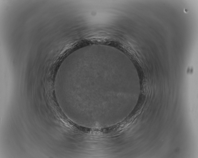 X0000089341297200706221109