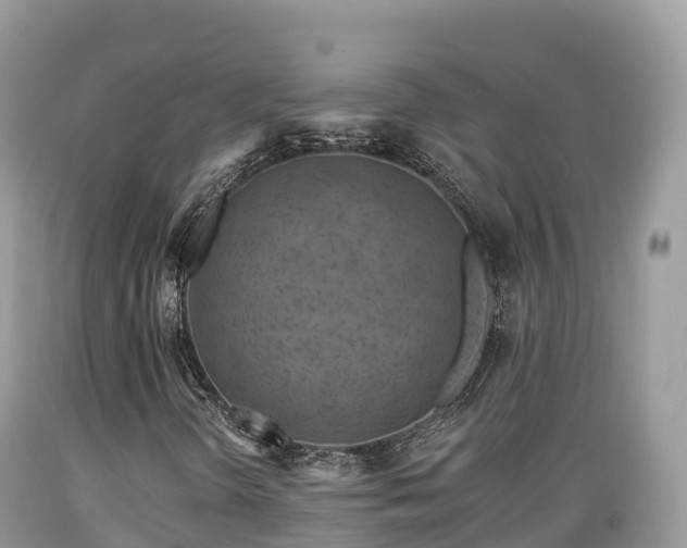 X0000089341298200706221109