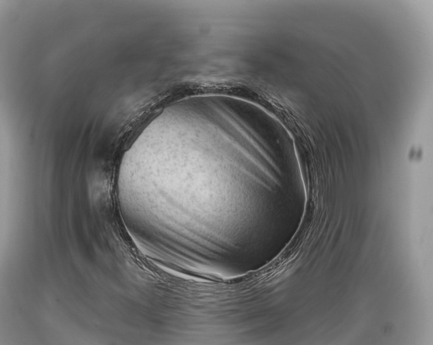X0000089341300200706221109