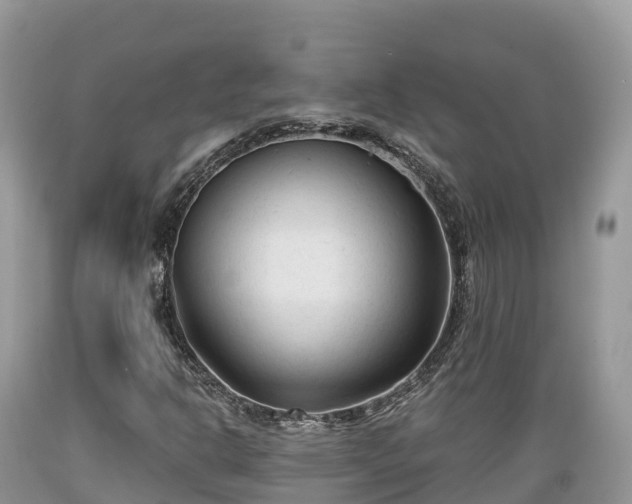 X0000089341302200706221109