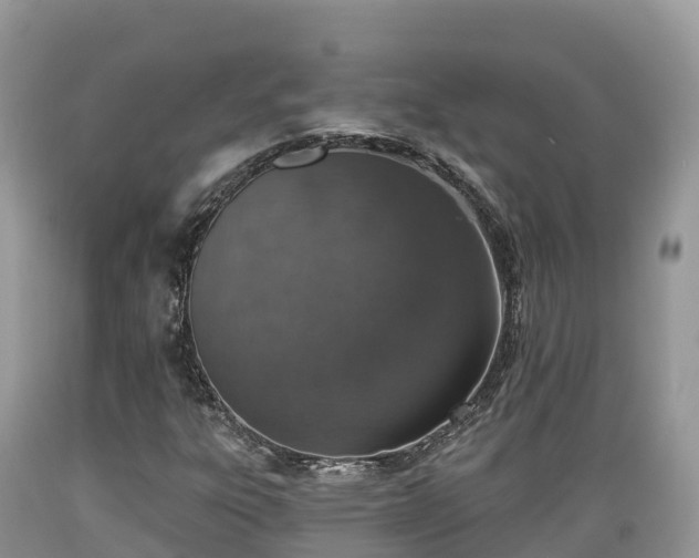 X0000089341303200706221109