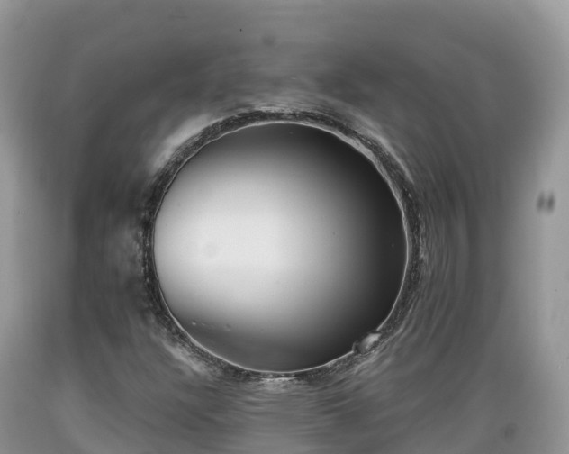 X0000089341304200706221109