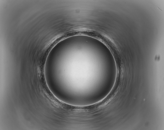 X0000089341305200706221109