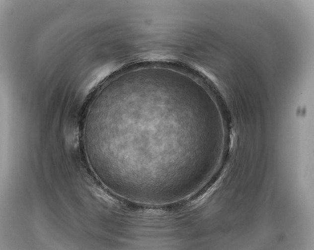X0000089341306200706221109