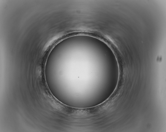 X0000089341307200706221109