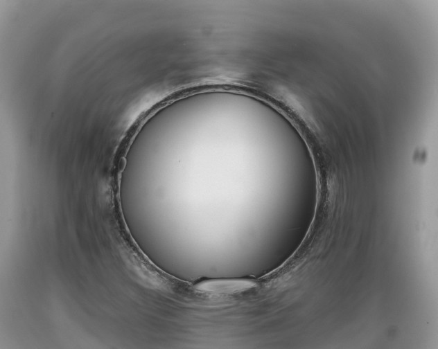 X0000089341308200706221109