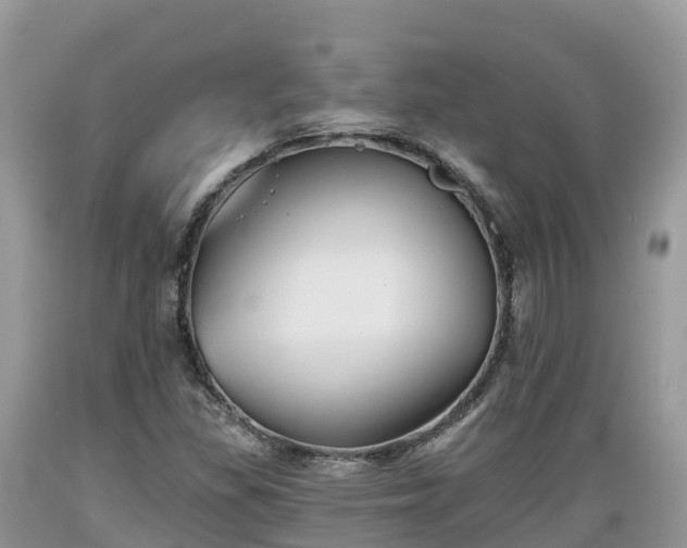 X0000089341309200706221109