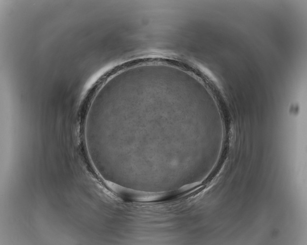 X0000089341310200706221109