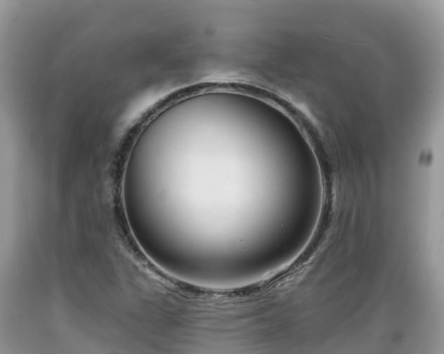 X0000089341311200706221109