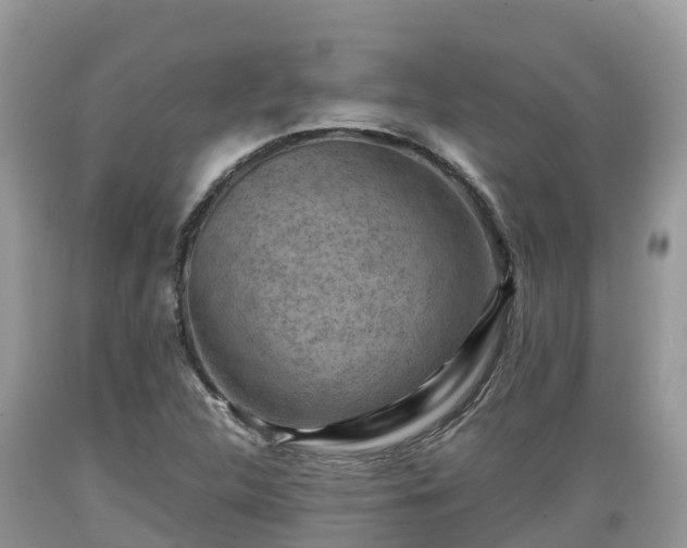 X0000089341312200706221109