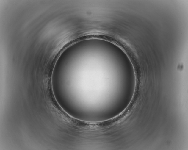 X0000089341313200706221109