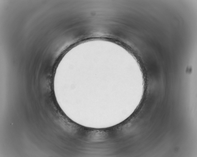 X0000089341314200706221109