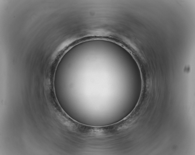 X0000089341315200706221109