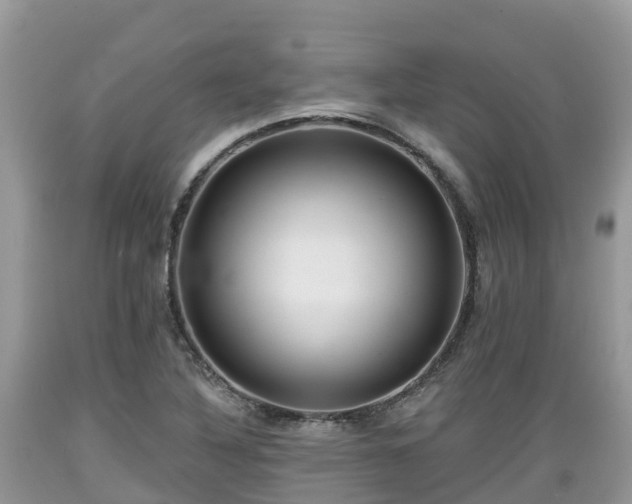 X0000089341316200706221109