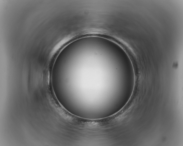 X0000089341317200706221109