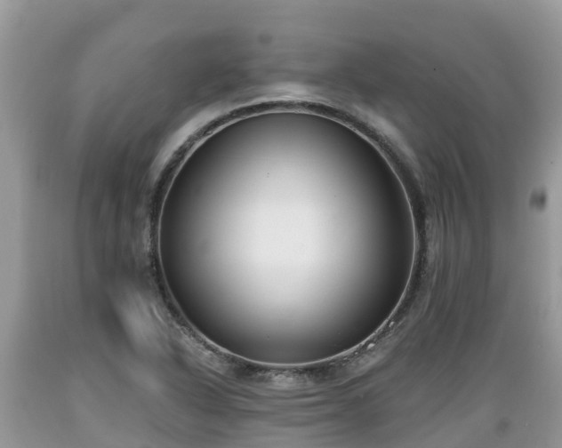 X0000089341318200706221109