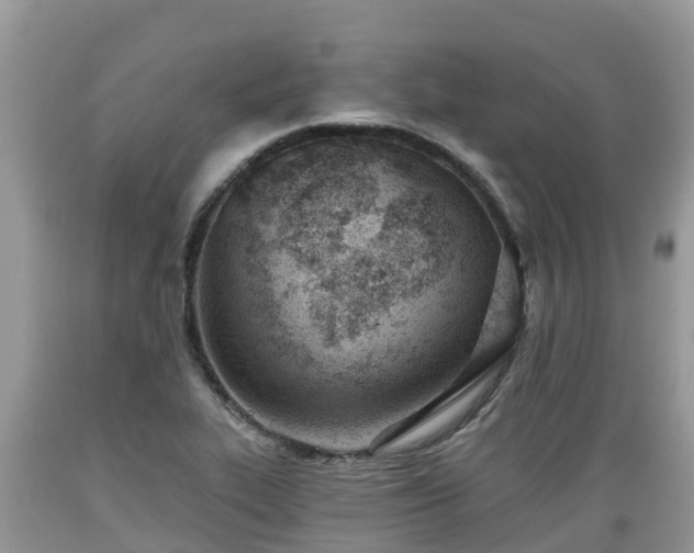 X0000089341319200706221109