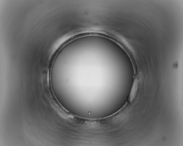X0000089341320200706221109