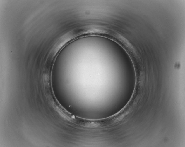 X0000089341321200706221109