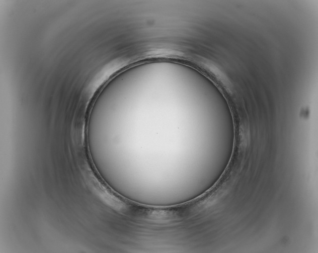 X0000089341322200706221109