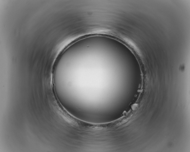 X0000089341324200706221109