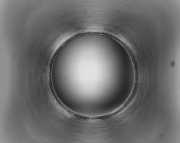 X0000089341325200706221109