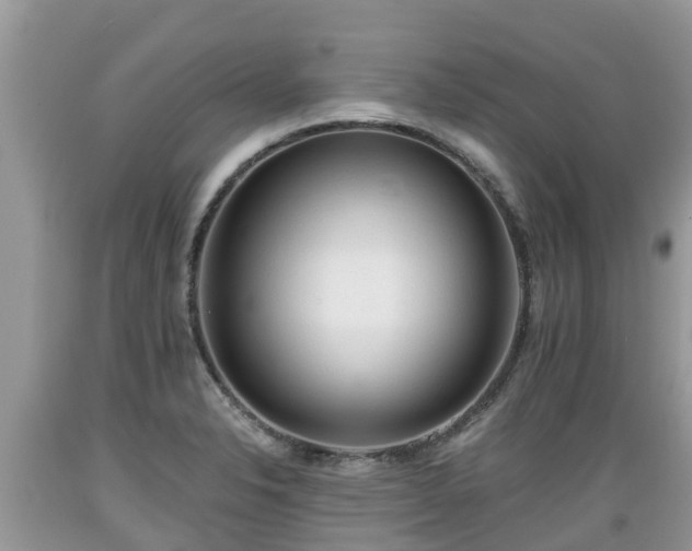 X0000089341326200706221109