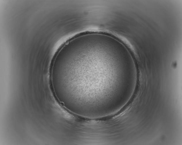 X0000089341327200706221109
