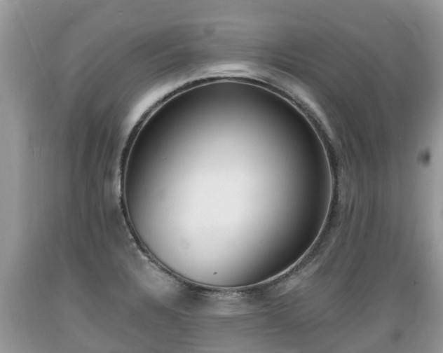 X0000089341328200706221109