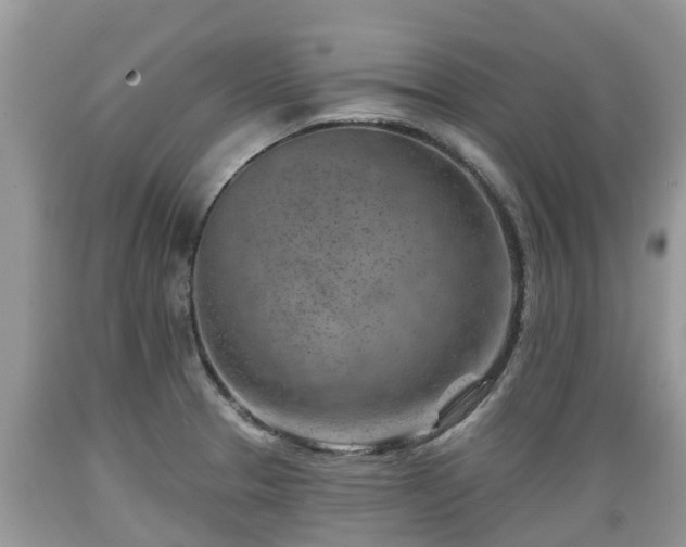 X0000089341329200706221109