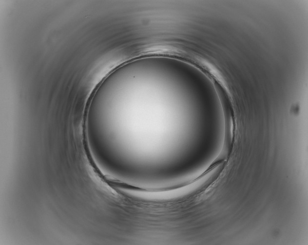 X0000089341330200706221109