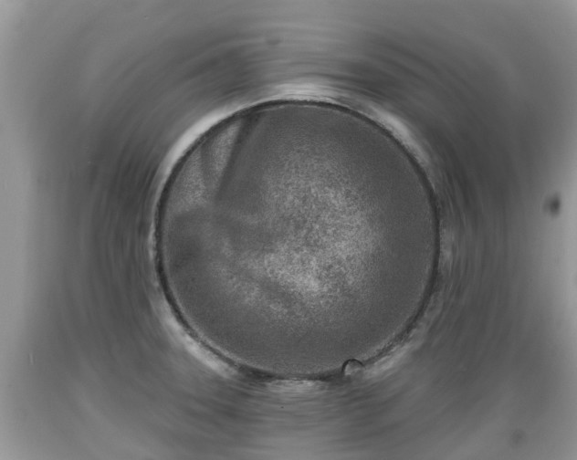 X0000089341331200706221109